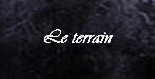 Le terrain