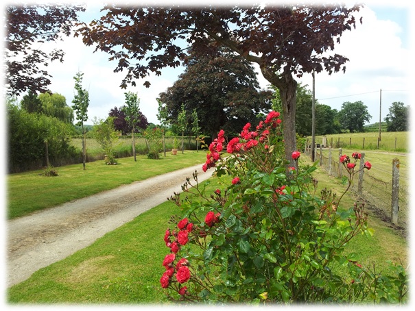 fleurs du manoir