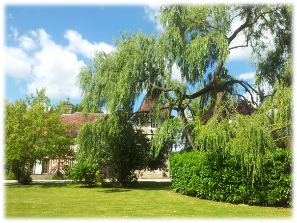 fleurs du manoir